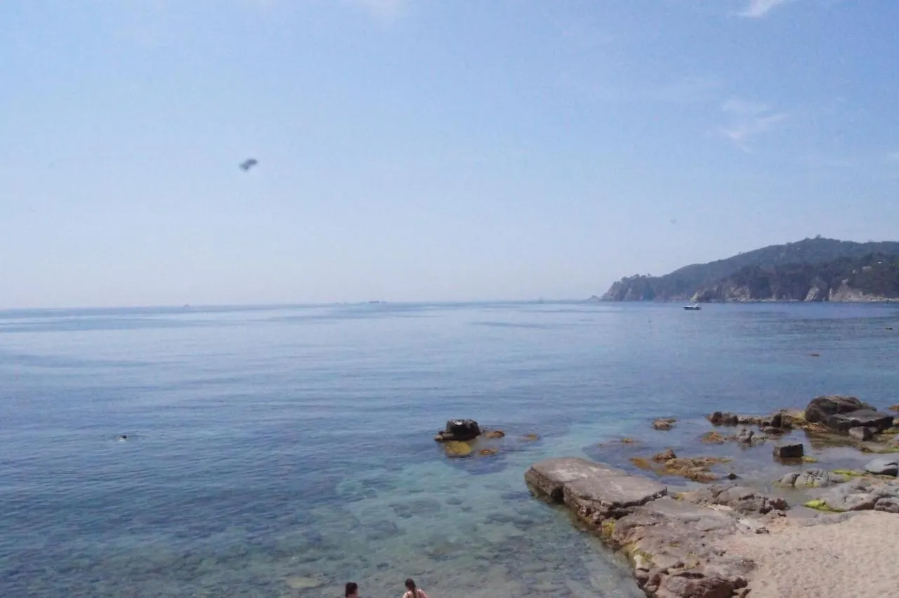 Playa Canadell Mar G Primera Linea De Mar Con Terraza 칼레냐 데 팔라푸르헬