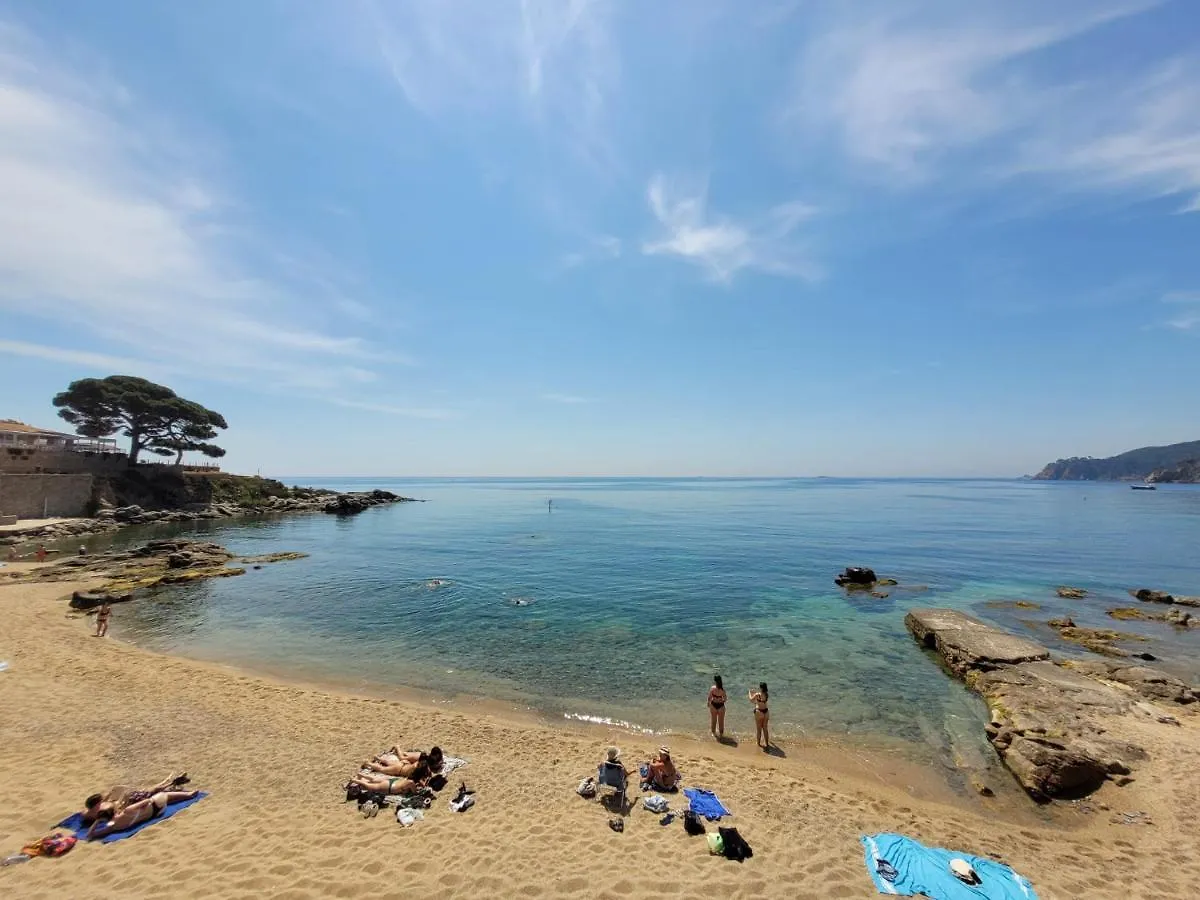 아파트 Playa Canadell Mar G Primera Linea De Mar Con Terraza 칼레냐 데 팔라푸르헬
