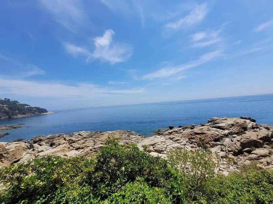 Playa Canadell Mar G Primera Linea De Mar Con Terraza 칼레냐 데 팔라푸르헬 아파트